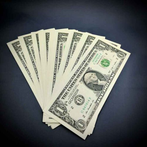 1 Dolar Şaka Parası
