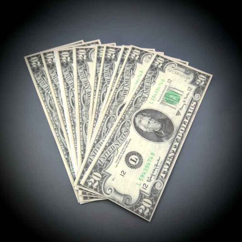20 Dolar Şaka Parası