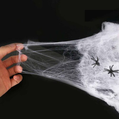 Halloween Örümcek Ağı